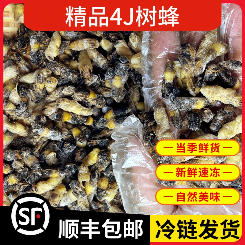树蜂4蜂蛹正宗新鲜鲜活速冻葫芦蜂七里蜂马蜂蛹新货