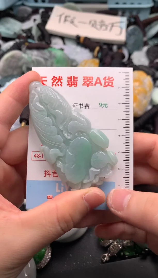 翡翠未镶嵌吊坠(不含链)1