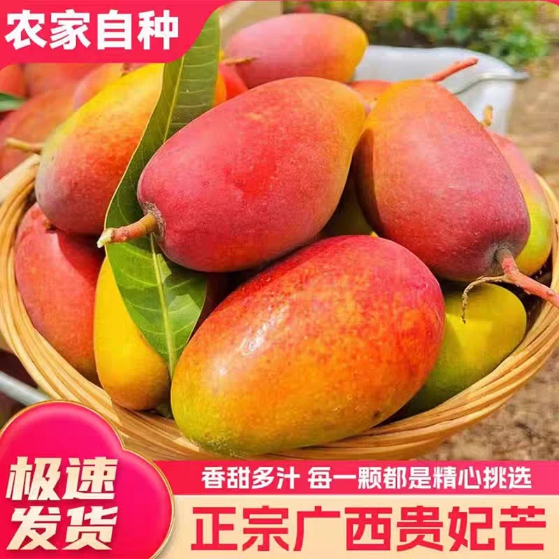 【放软食用】A2广西百色贵妃芒果新鲜当季香甜软糯核薄肉厚爆甜多汁