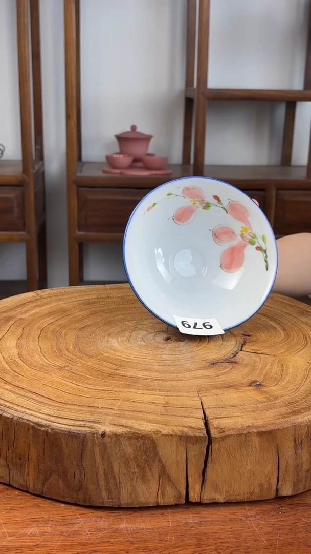 瓷片景德镇手绘釉中彩（食品级）斗笠碗979