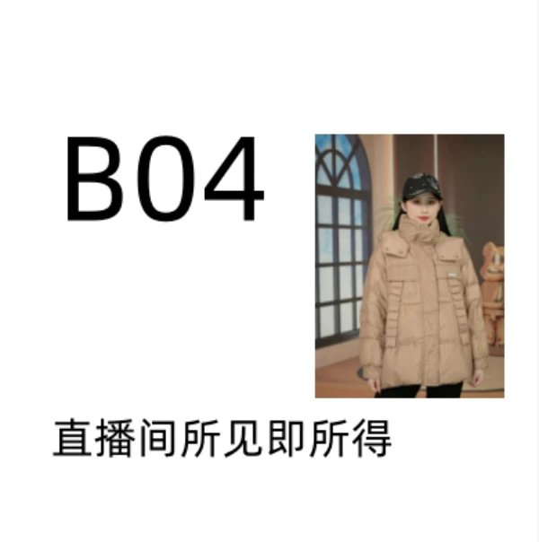 2025潮奢新款白鸭绒免洗男女同款净色长款羽绒服-B04