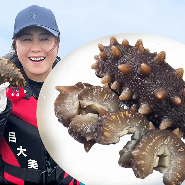 【即食海参】一斤装12-15头福利款