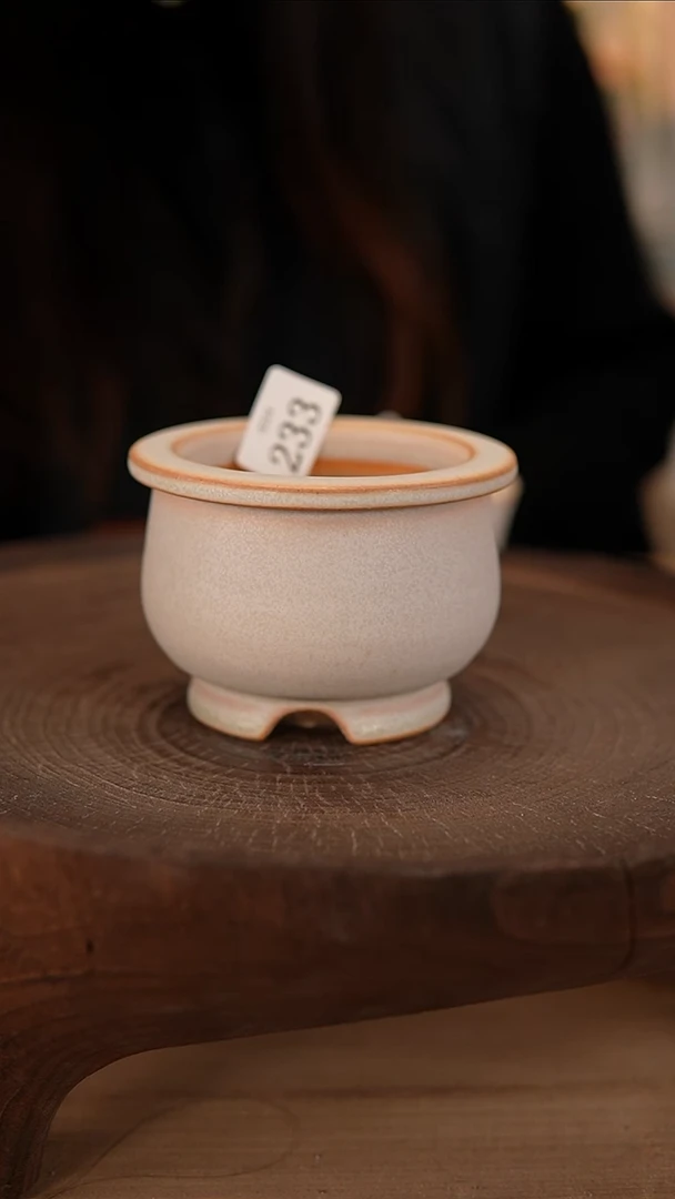 【闪购商品】陶瓷2-24-233默认有瑕口7.5