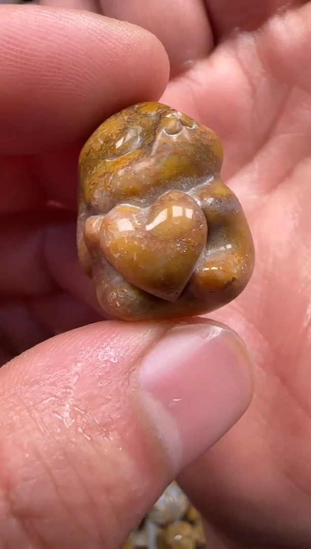 【闪购商品】硅化珊瑚（珊瑚玉）颈饰未镶嵌521