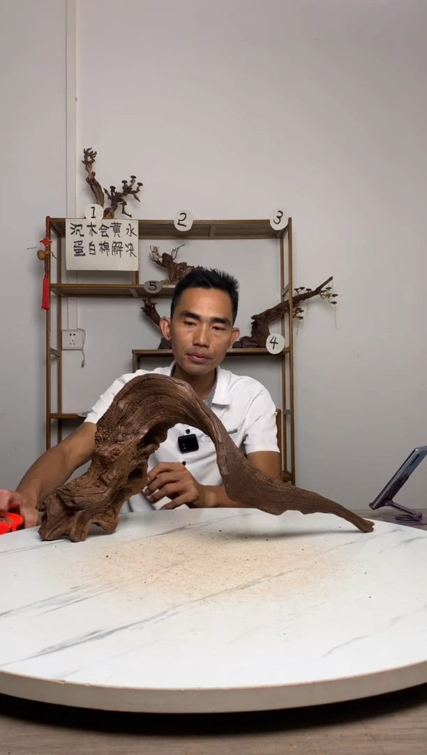 用****6鱼缸造景沉木摆件