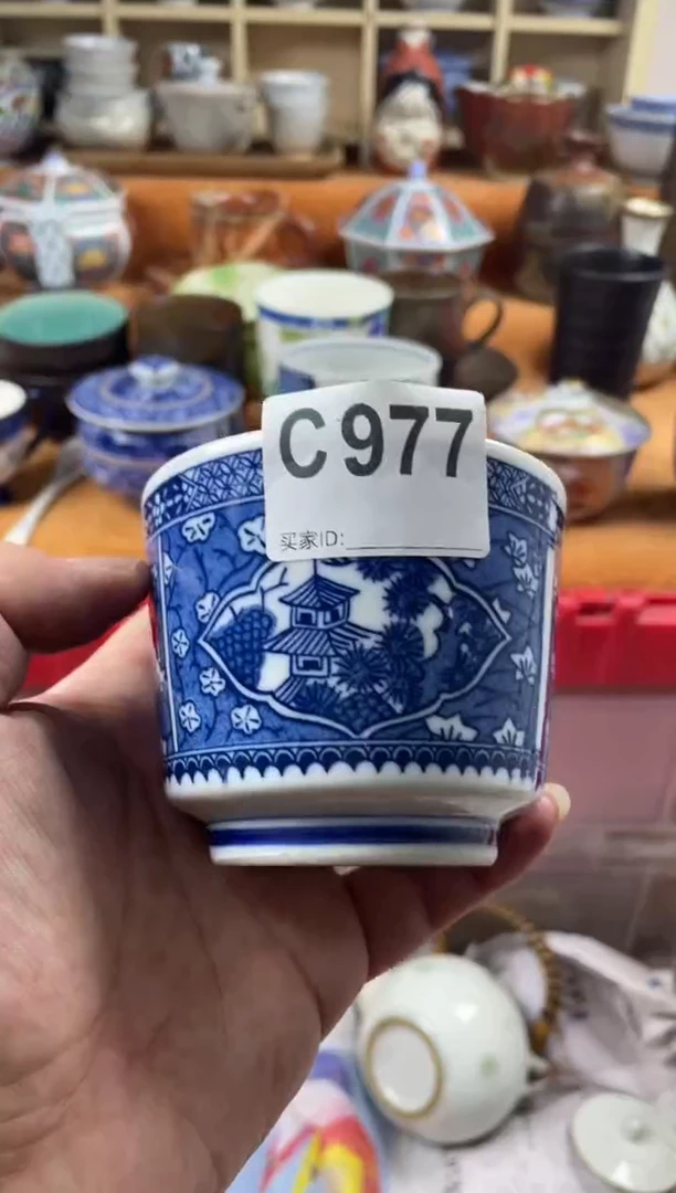 【闪购商品】C977