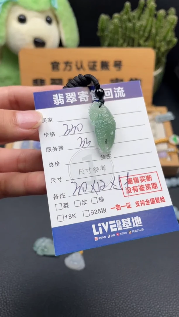 颈饰未镶嵌翡翠10148979