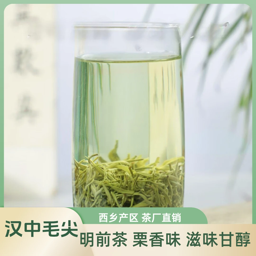 【正宗2025年汉中毛尖～手工茶】2025年明前头采栗香花香耐泡绿茶