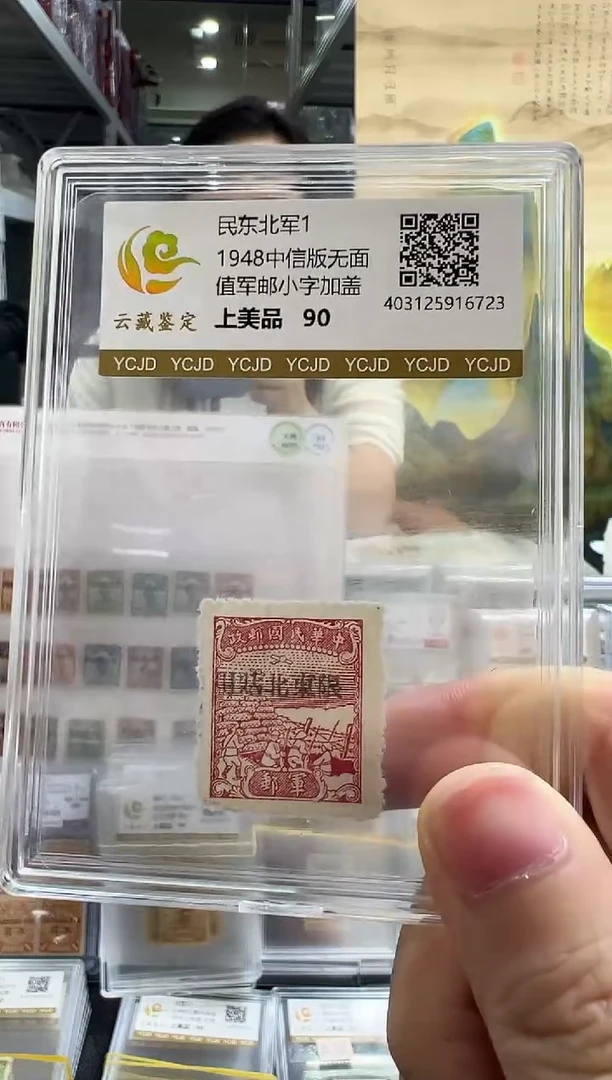 民东北军1 中信版