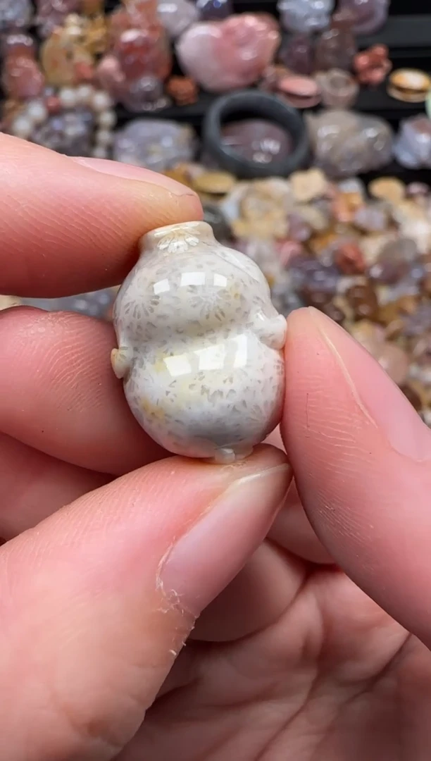 颈饰未镶嵌硅化珊瑚（珊瑚玉）504