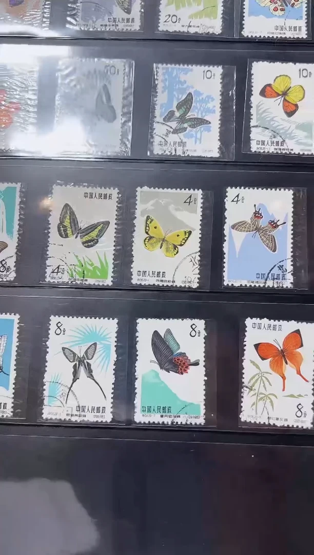 特56蝴蝶（盖销） 封装评级邮票