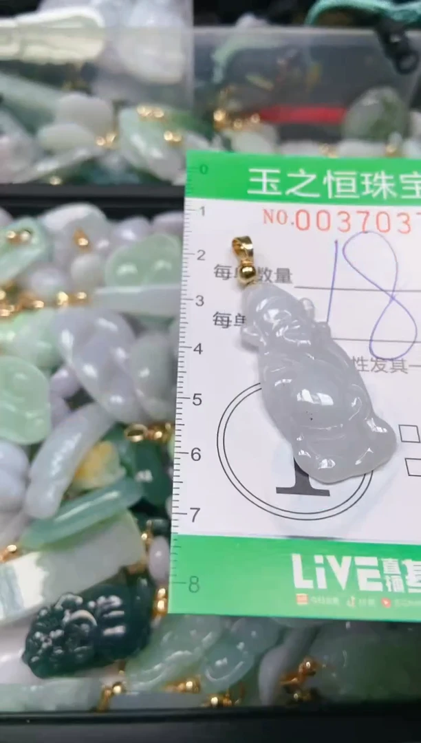 【闪购商品】翡翠颈饰未镶嵌闪购0037037