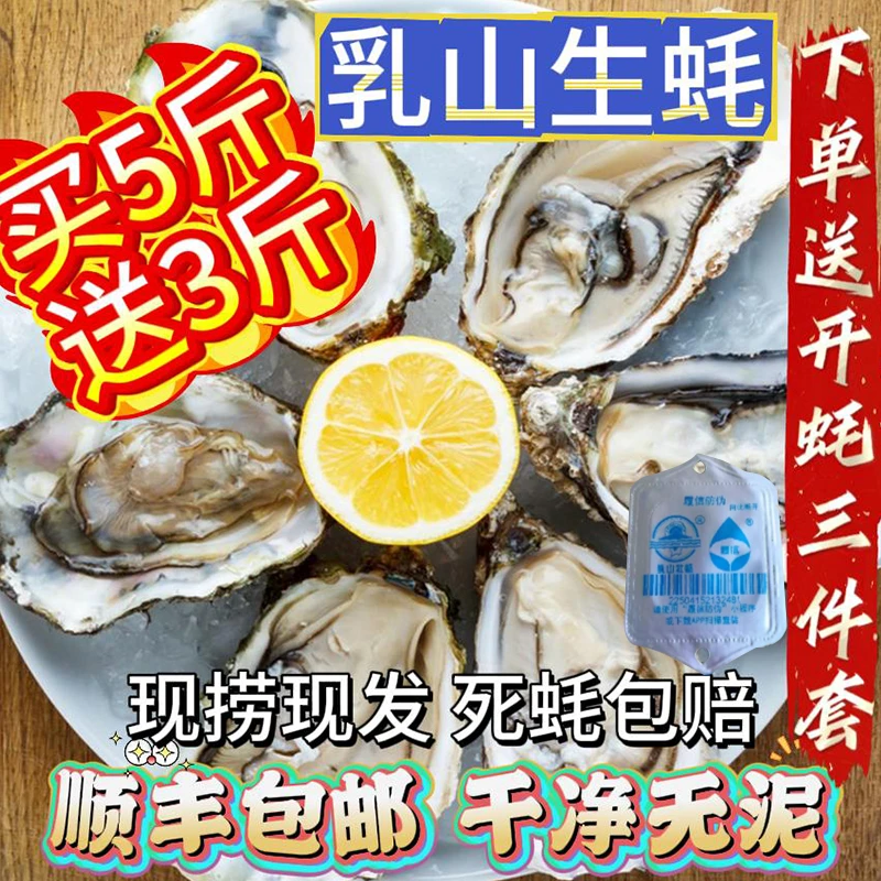 乳山生蚝商用餐饮酒店饭店烧烤大排档高标准拿货供货净重8斤