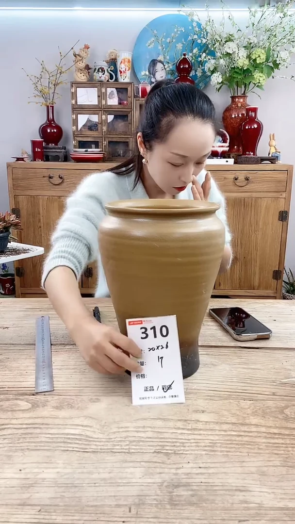 【闪购商品】红陶310