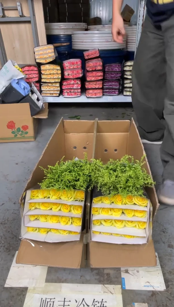 浪漫沙滩20枝+黄莺