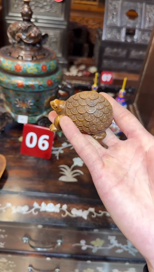 木木头款黄杨金钱龟68