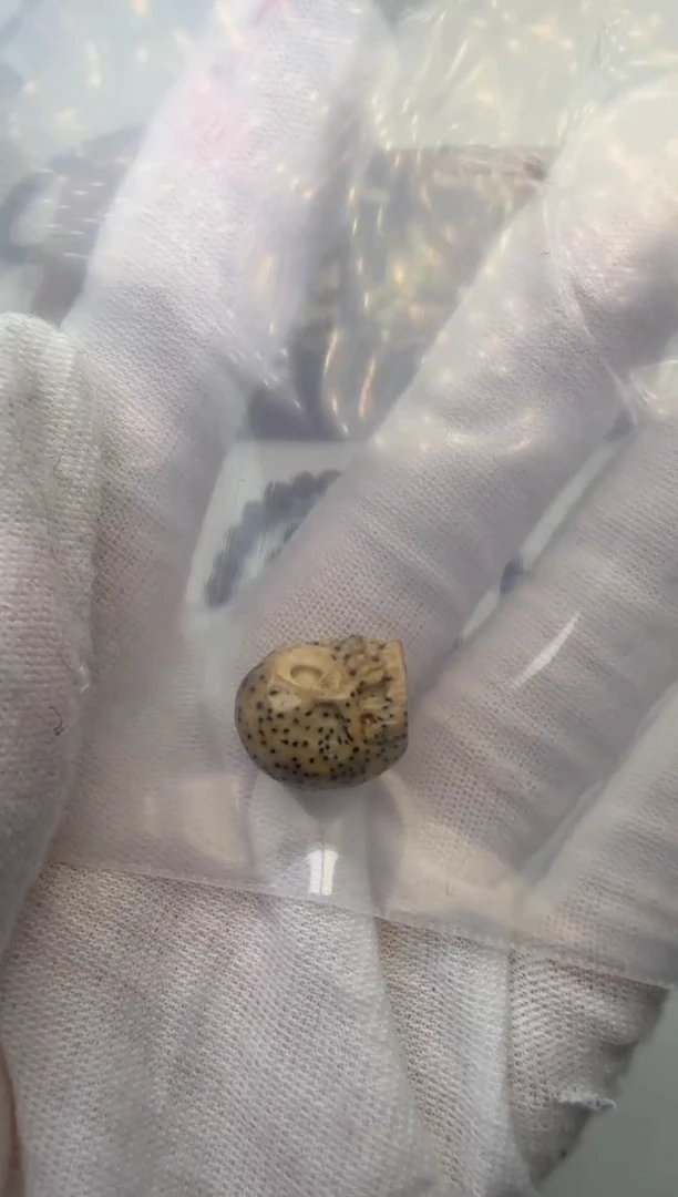 吊坠星月菩提小*。星月吊坠