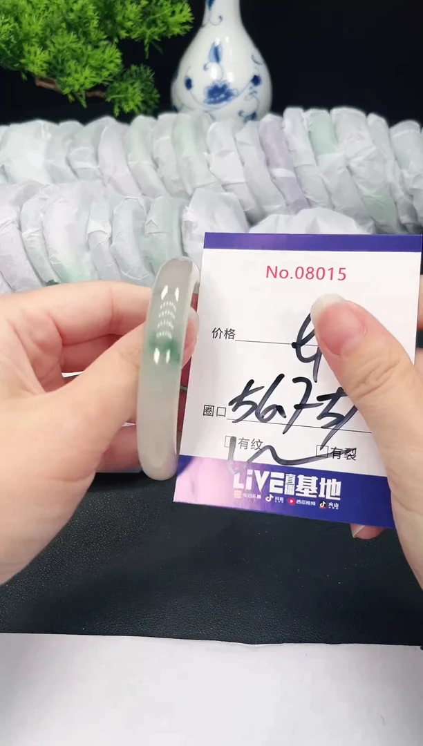 未镶嵌手镯翡翠8015