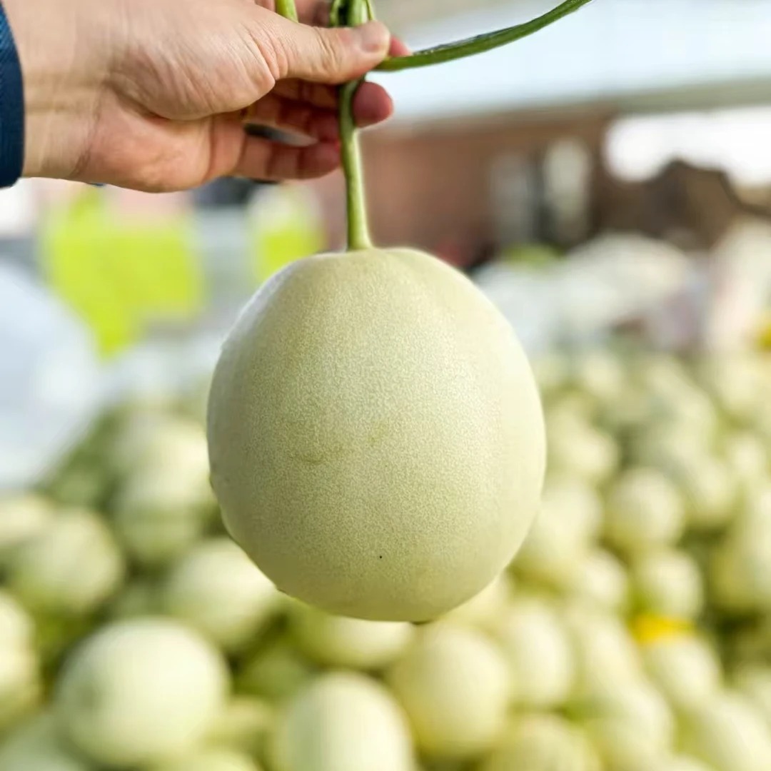 【4个】玉菇瓜（小）