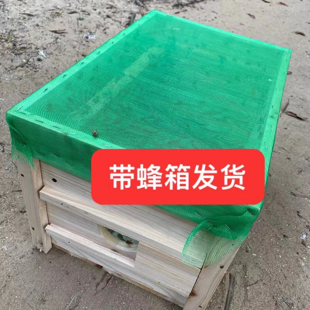 中华蜜蜂 带蜂箱发货
