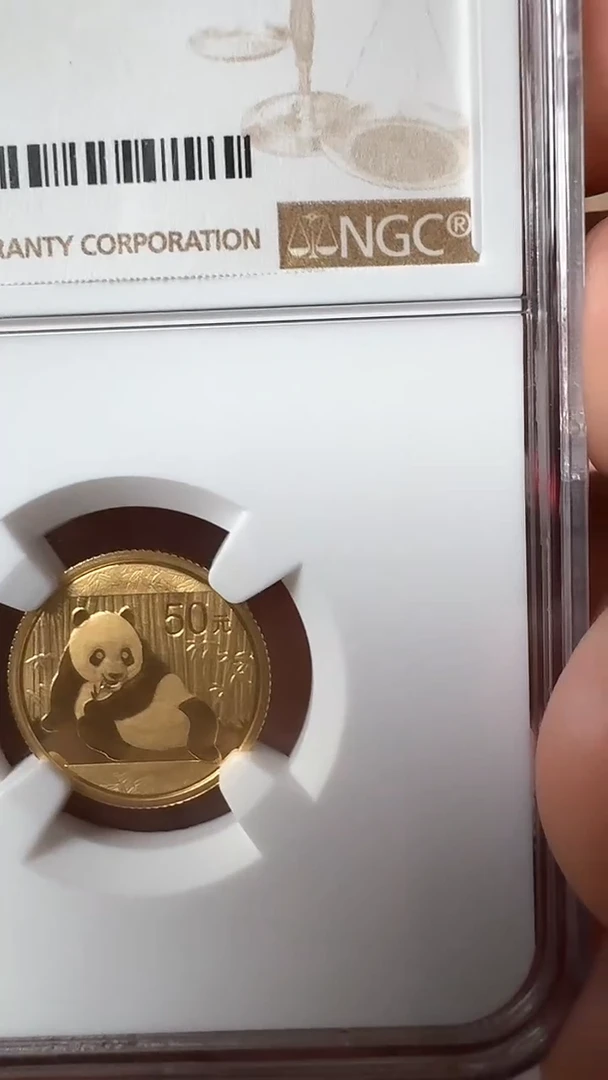 【闪购商品】塑料2015年熊猫纪念金币3.11克