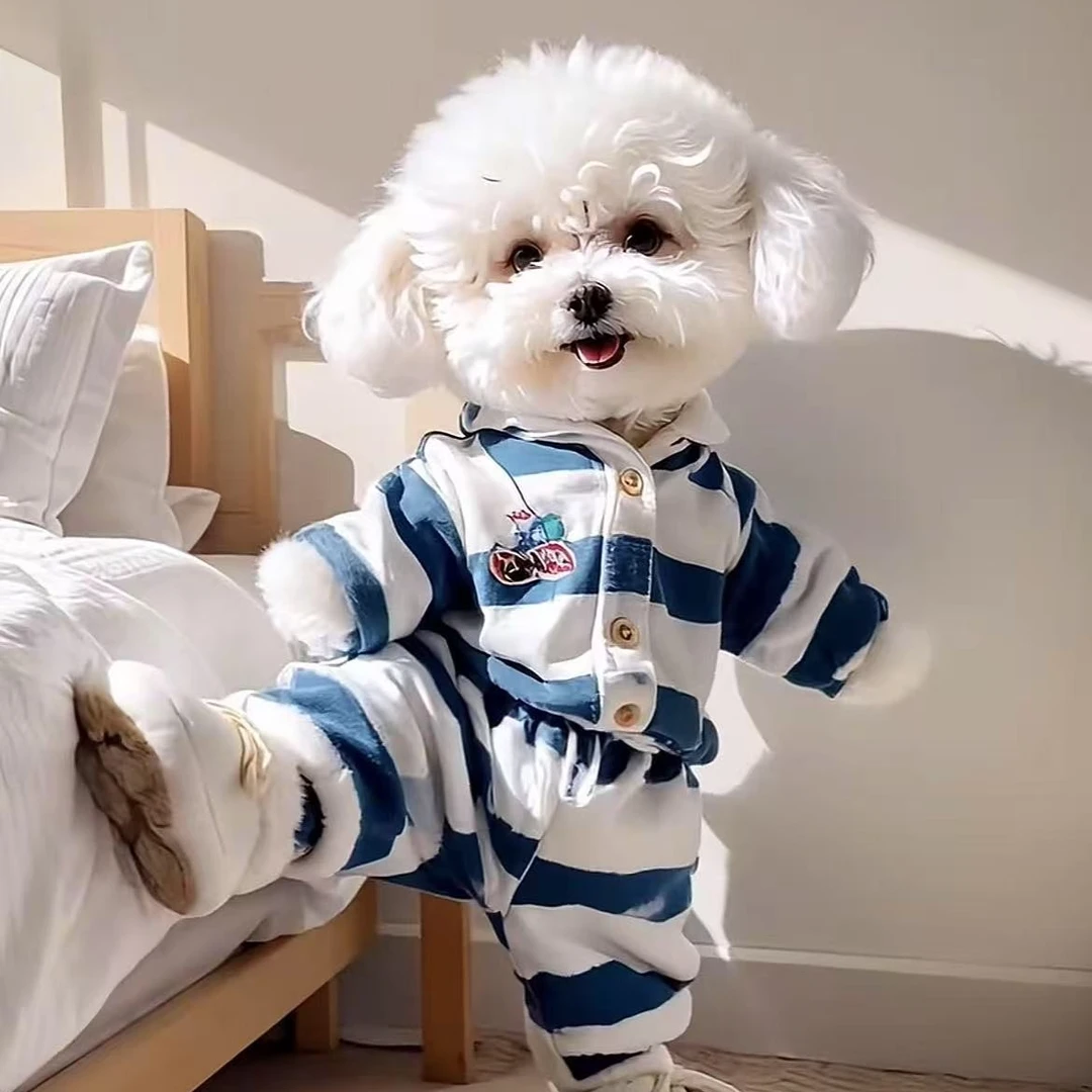 六一童装优选童装（华）