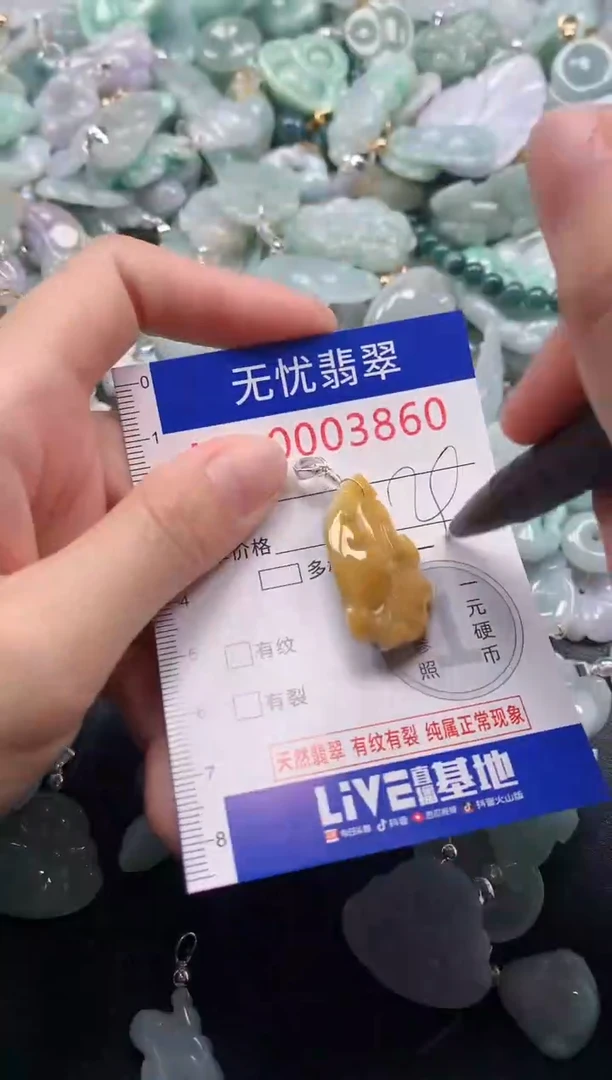 颈饰未镶嵌翡翠3860
