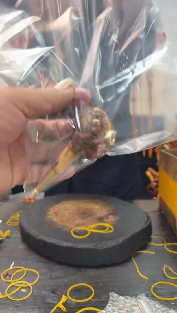 黑果木其他黑果木779