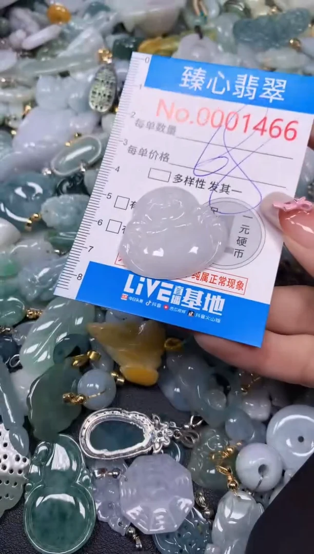 【闪购商品】翡翠颈饰未镶嵌含绳0001466