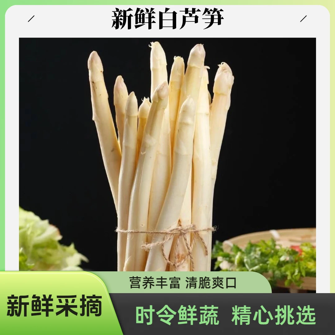 特级精品山东白芦笋优质时令蔬菜营养丰富脆嫩多汁现挖白芦笋