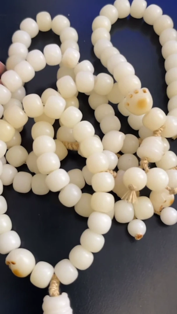 【闪购商品】菩提根/象牙果吊坠猫爪手串 1820-356（发一）