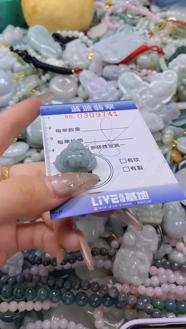 翡翠未镶嵌颈饰闪购0309741