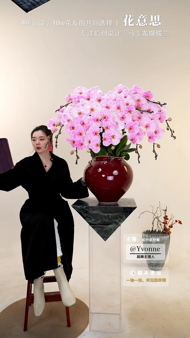 全部花朵050一物一拍蝴蝶兰艺术盆景