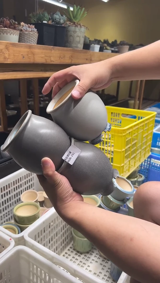 0626-252  橄榄瓶 随机一只