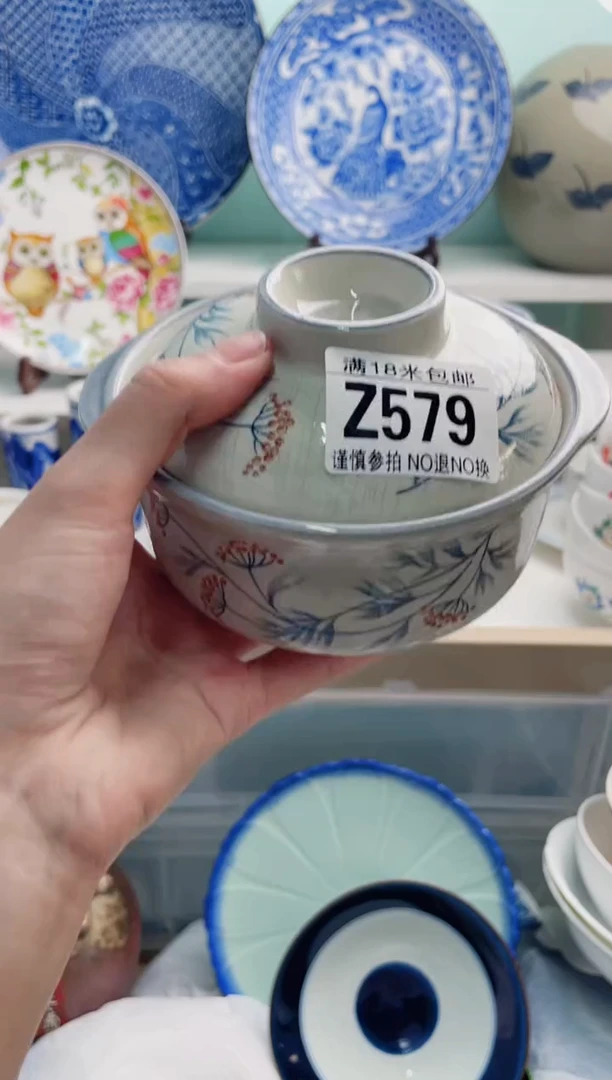 陶瓷代*?Z579**********