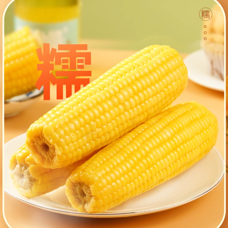 2025年新果内蒙古巴彦淖尔甜黄糯玉米古法种植健康早点粗粮
