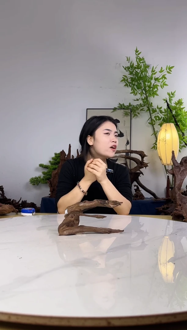 拍沉木定向链接编号11