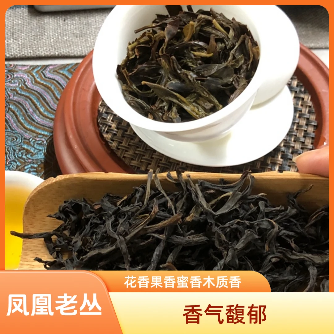 【宋种】凤凰单丛老丛宋种125g
