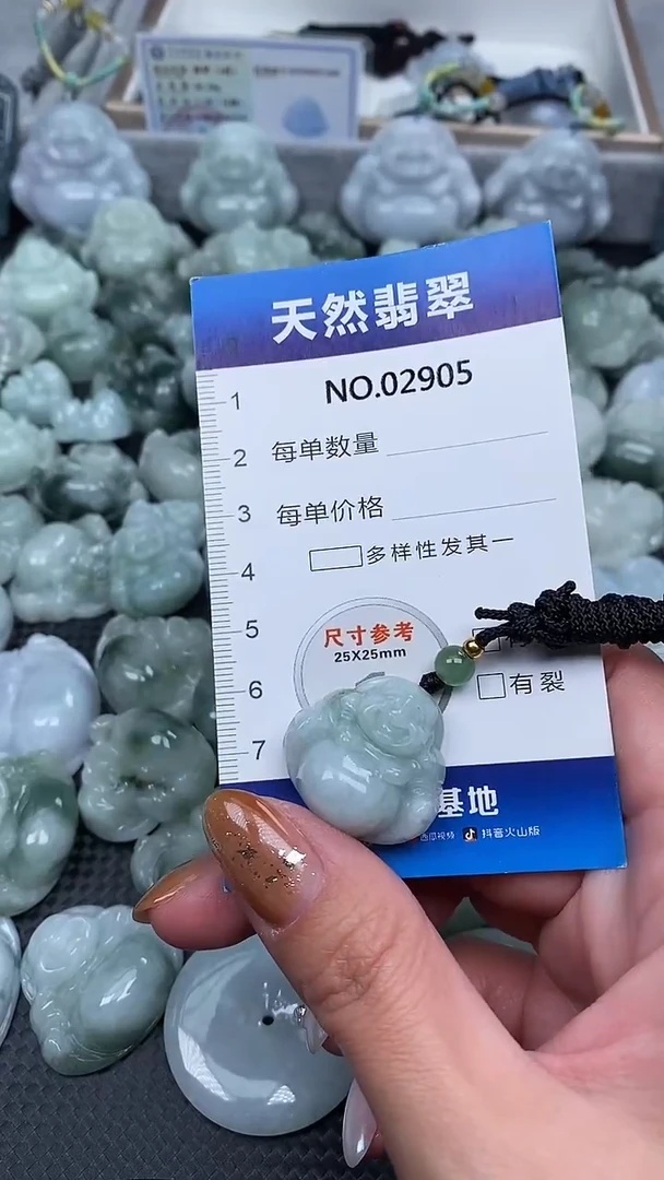 颈饰未镶嵌翡翠纯天然A货翡翠2905