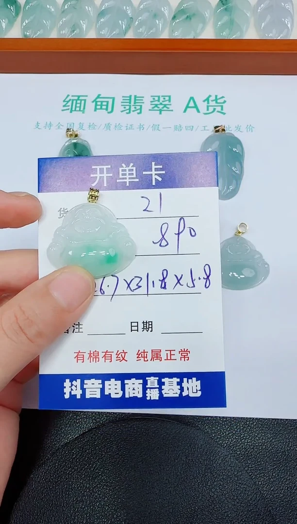 翡翠未镶嵌吊坠(赠链)21