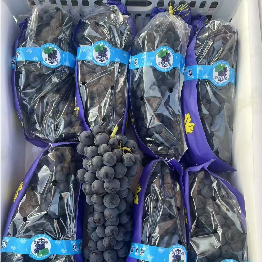 蓝莓葡萄 新鲜水果 应季水果云南省