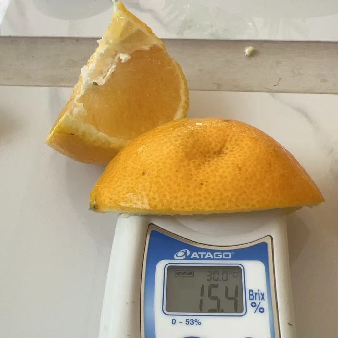 嘎嘣脆高次果糖度13~16,净重7斤带箱8斤。（介意勿拍）