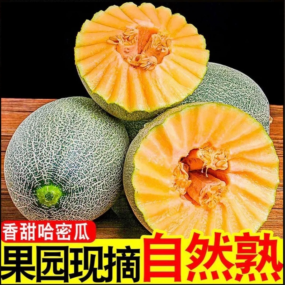 【方坔】山东西州蜜甜瓜哈密瓜西州蜜25号脆甜多汁新鲜包邮