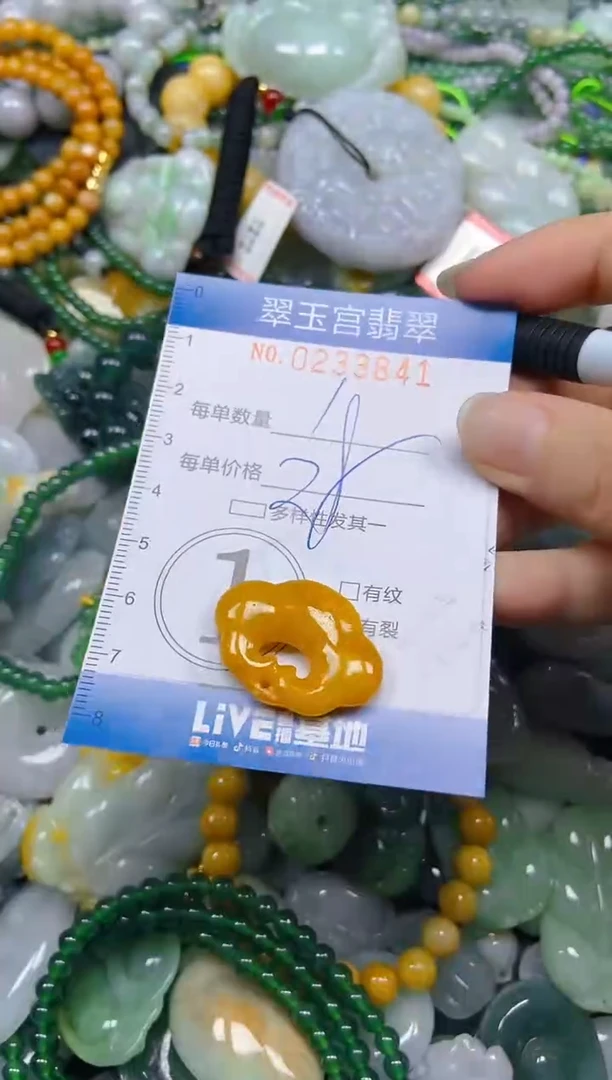 颈饰未镶嵌翡翠闪购C0233841