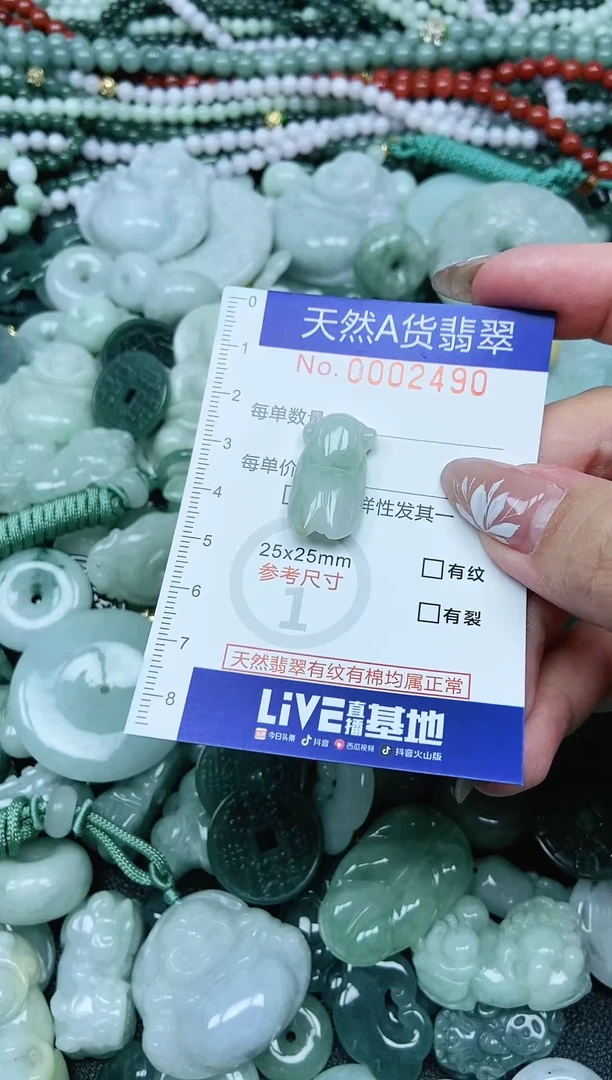 颈饰未镶嵌翡翠天然A货 支持复检