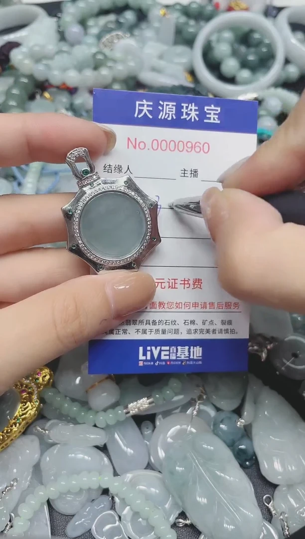 翡翠未镶嵌颈饰146（多样性发其一）