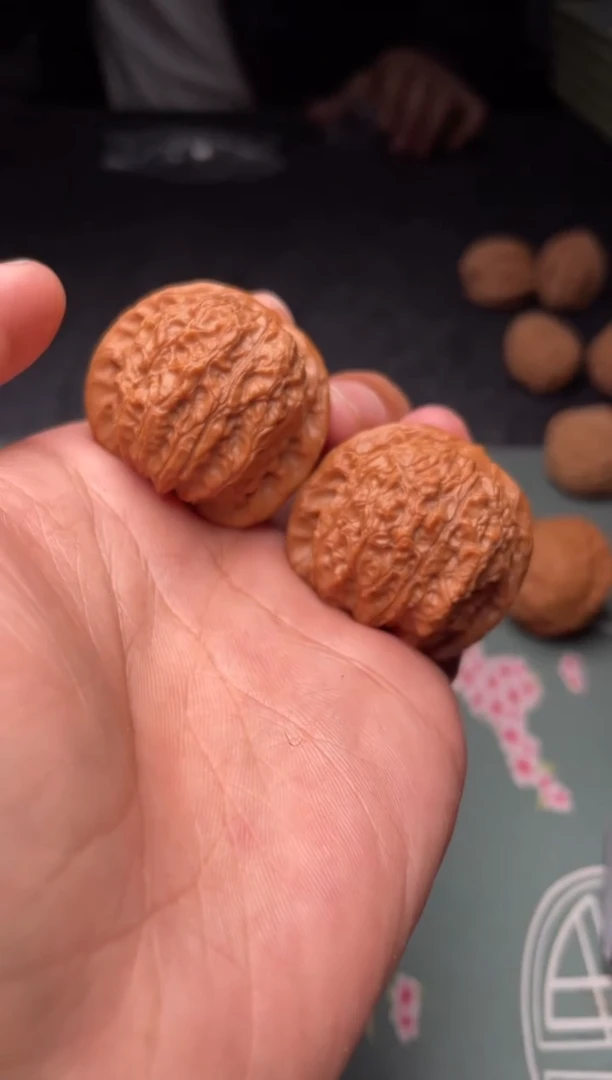核桃a13  血麒麟 37尺