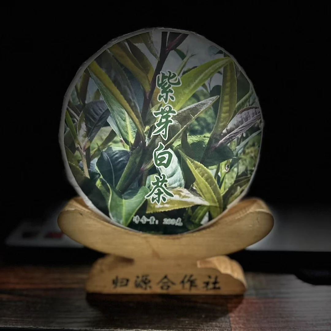 【村长】418号 毛文春 2024年邦东【紫芽白茶】古树200g饼茶 #2.14#