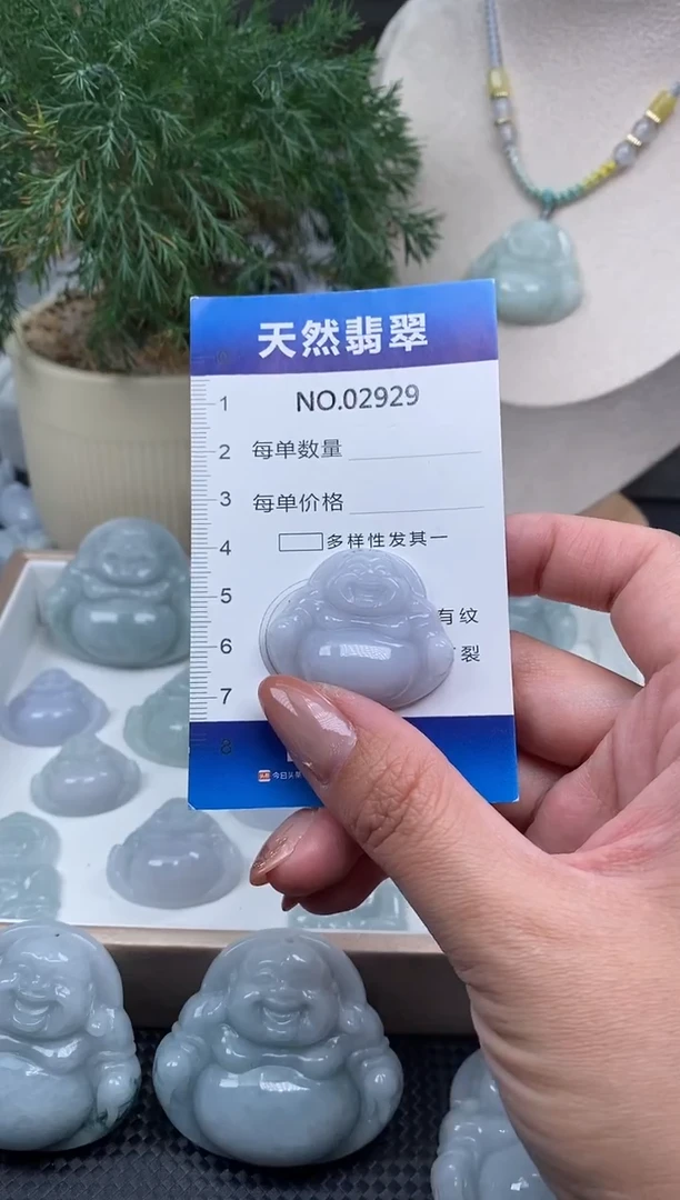 颈饰未镶嵌翡翠纯天然A货缅翡2929