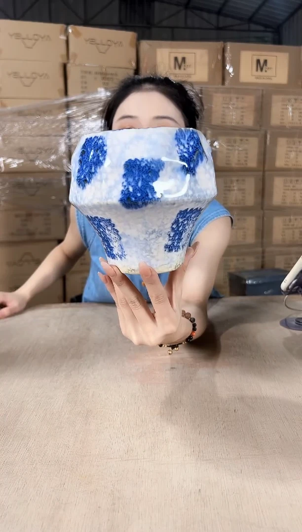 蘑菇刷色蓝13x15